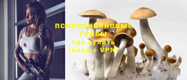 гашик Верхний Тагил