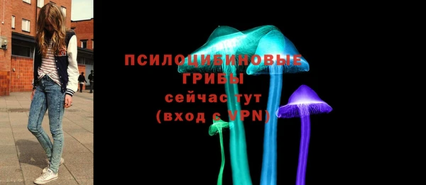 spice Горно-Алтайск