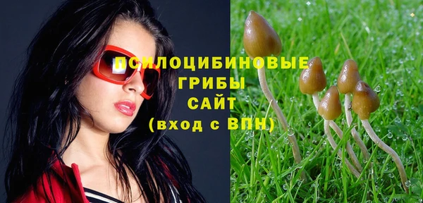 дживик Волосово